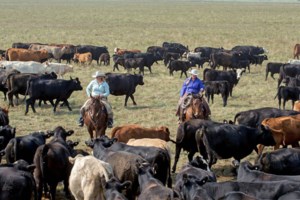 Educational opportunity offered to ranching women