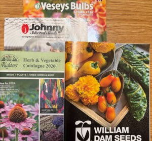 Garden Chat: It’s seed catalogue time