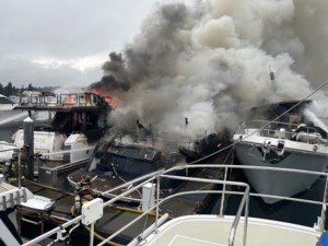 Fire chief says cause of fire that sank three yachts will likely never be found