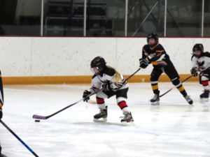 Young female Ice Hawks bow to Redwings on home ice