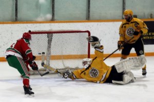 Cobras wrap up first round home ice advantage with pair of wins