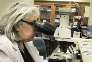 Swift Current's organic research program cut