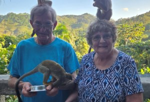 Maidstone and Area News: Quilting Squares invite community to view their work