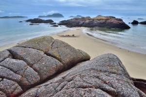 Axing N.L. ocean conservation site a 'blow' to national goals, say environment groups