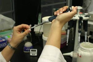 Global acceptance grows for gene edited crops