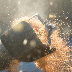 SARM, Seed Growers add to collective opposition of AAFC cuts