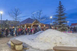 In the news: B.C. community still reeling, Stronach trial begins, and the G.G. awards