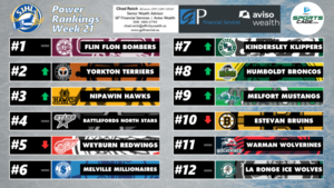 SportsCage SJHL Power Rankings: Nipawin Hawks make jump, Weyburn Red Wings stumble