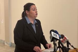 Opposition raises concerns of upwards of 100 hours of ER delays