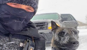 Snowy roads, but few crashes reported in Regina