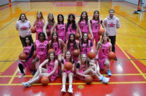 ACHS basketball’s 17th Pink Game supports local breast cancer fight