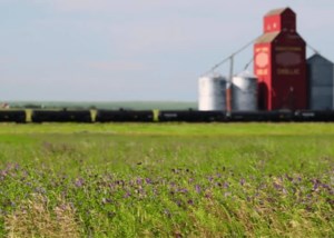 Sask Polytech and EnviroWay turn prairie fibres into biodegradable bottles