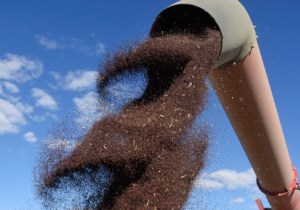 Preparation best remedy for uncertain market