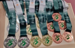 Rivers West District among top five for Sask. Winter Games medal count