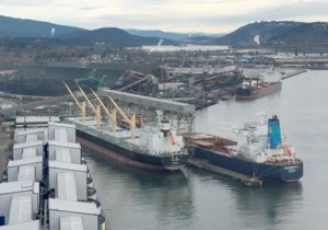 EU’s pesticide reciprocity could disrupt trade