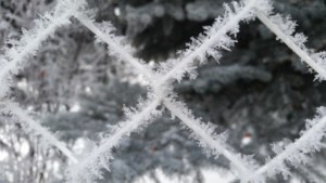 Any winter-est in March weather forecast?