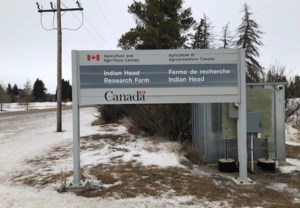 Ag research will continue, federal minister says