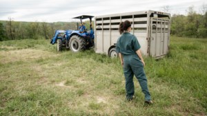 Saskatchewan celebrates women’s leadership in agriculture
