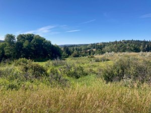 Pipeline project to bring water to Cypress Hills cattle range