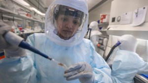 Six years later: How VIDO helped respond to the COVID-19 pandemic