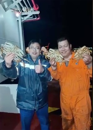 Sailors visiting Vancouver brag of catching hundreds of crabs, investigation underway