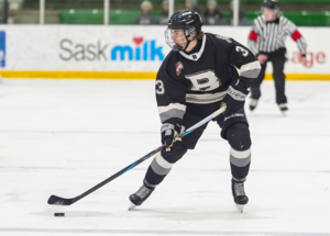 Saskatoon Blazers force Game 5 after dominant SMAAAHL win over Moose Jaw