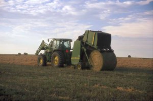 Budget increases investments in agriculture