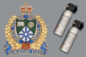 Two youths arrested after bear spray discharged in Saskatoon business