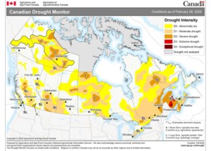 Not much relief in sight for Prairie drought