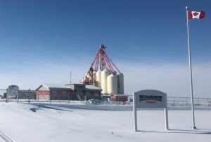 Richardson back in the fold at canola council