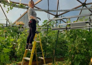 Grow Your Own Future: Going vertical expands your gardening options