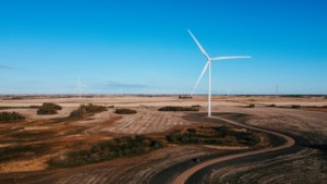 'Neighbours hating each other': Proposed Saskatchewan wind farm divides community