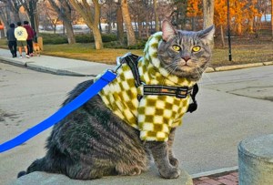 Spring brings new health risks for pets in Saskatchewan