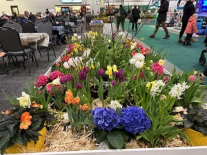 Gardenscape 2026 photos: An oasis for winter-weary souls