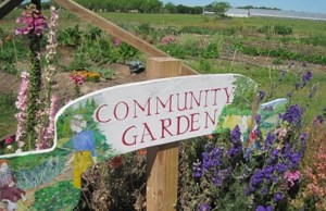 Pense project aims to grow garden, paths with public support