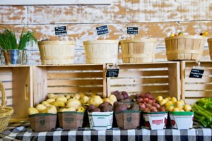 Food scientists warn social media is a “perfect storm” for nutrition misinformation