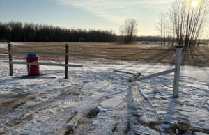 ‘Ruff’ crowd leaves Unity’s Paw Park in ruins