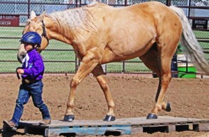 Rosthern Agricultural Society 2026 events lining up