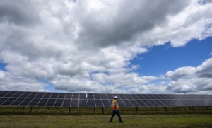 Energy-hungry Nova Scotia companies nearly doubled their solar power capacity in 2025