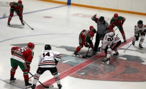 Cobras fall just short of winning another championship