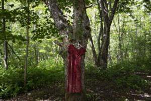 Indigenous women’s groups urge funding to limit risks to safety, prosperity