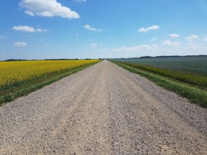 A look at the current state of the farmland market with Hammond Realty