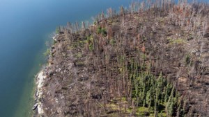USask research explores impacts of increasing wildfires on biodiversity