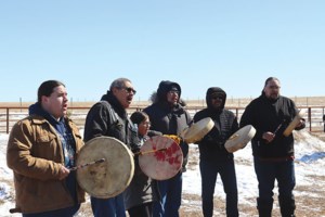 Bison return marks step toward sovereignty for Kahkewistahaw FN
