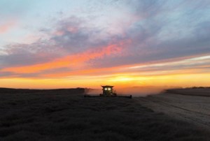 Students lead the charge for ag solutions