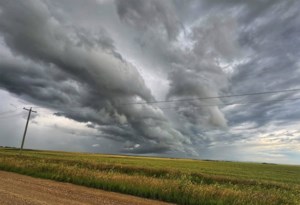 El Nino could result in a warm winter