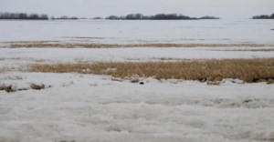 SaskAgToday.com Roundtable: Another shot of snow, Farmland Security Act to be reviewed
