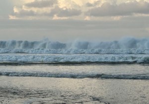 Mayfair and Area News: Fifteen days in tropical paradise