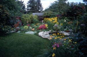 Grow Your Own Future: Living sustainably