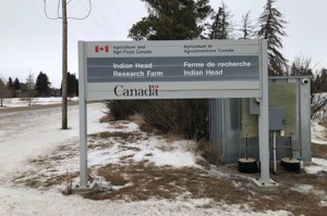 Industry shares its thoughts on agriculture policy